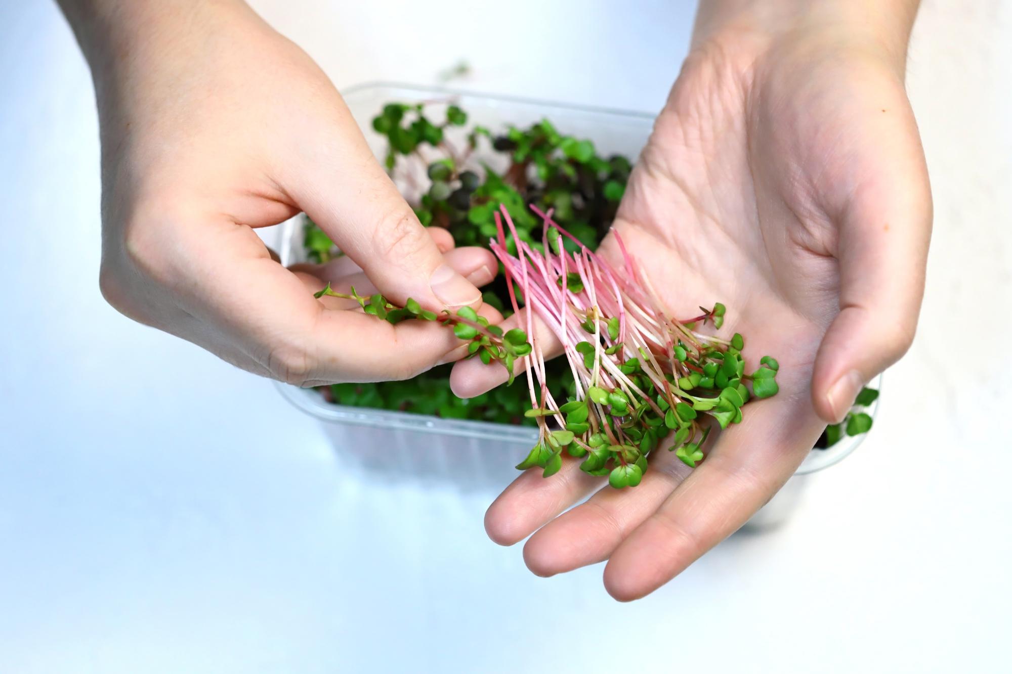 Hands plating a composed salad